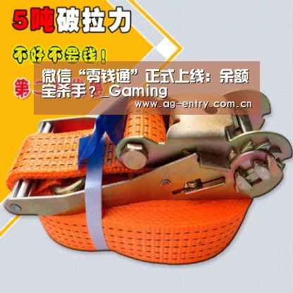 微信“零钱通”正式上线:余额宝杀手?_Gaming(图3) 微信“零钱通”正式上线:余额宝杀手?_Gaming(图3)