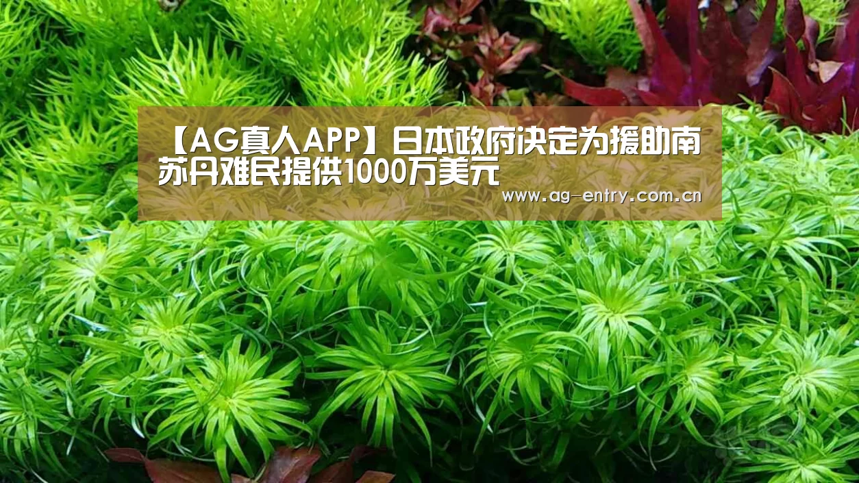 【AG真人APP】日本政府决定为援助南苏丹难民提供1000万美元(图4) AG真人APP