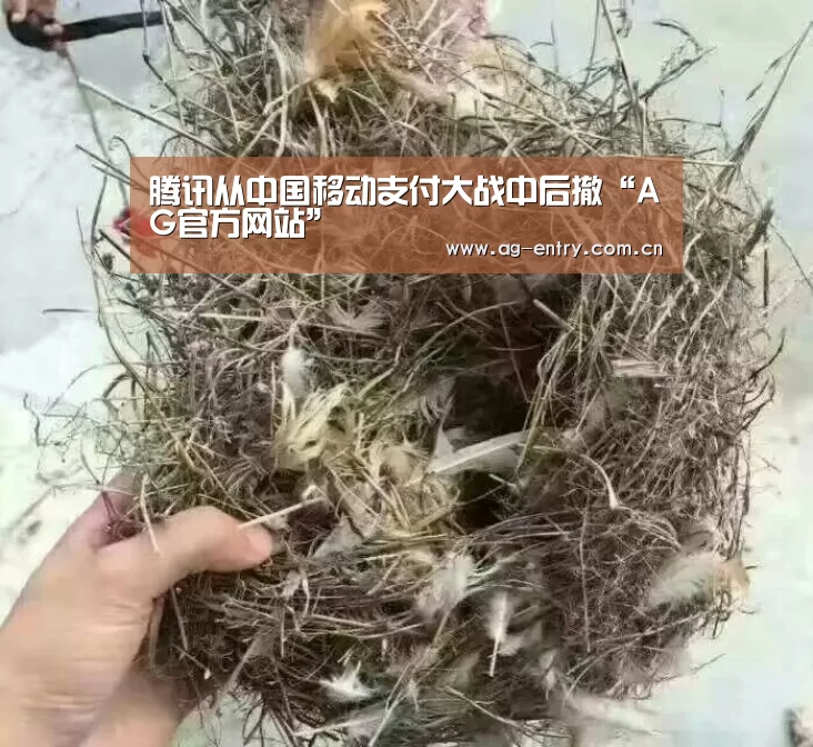 腾讯从中国移动支付大战中后撤“AG官方网站”(图4) AG真人APP