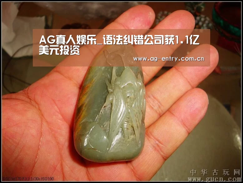 AG真人娱乐_语法纠错公司获1.1亿美元投资(图1) AG真人娱乐_语法纠错公司获1.1亿美元投资(图1)