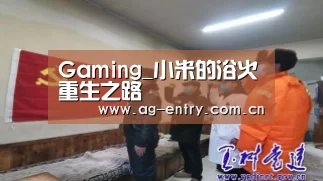 Gaming_小米的浴火重生之路(图1) AG真人娱乐