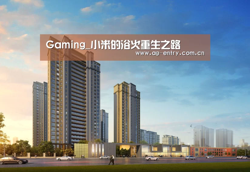 Gaming_小米的浴火重生之路(图2) Gaming_小米的浴火重生之路(图2)