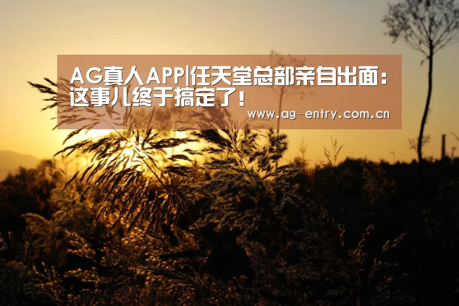 AG真人APP|任天堂总部亲自出面：这事儿终于搞定了！