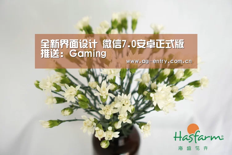 全新界面设计 微信7.0安卓正式版推送:Gaming(图4) 全新界面设计 微信7.0安卓正式版推送:Gaming(图4)