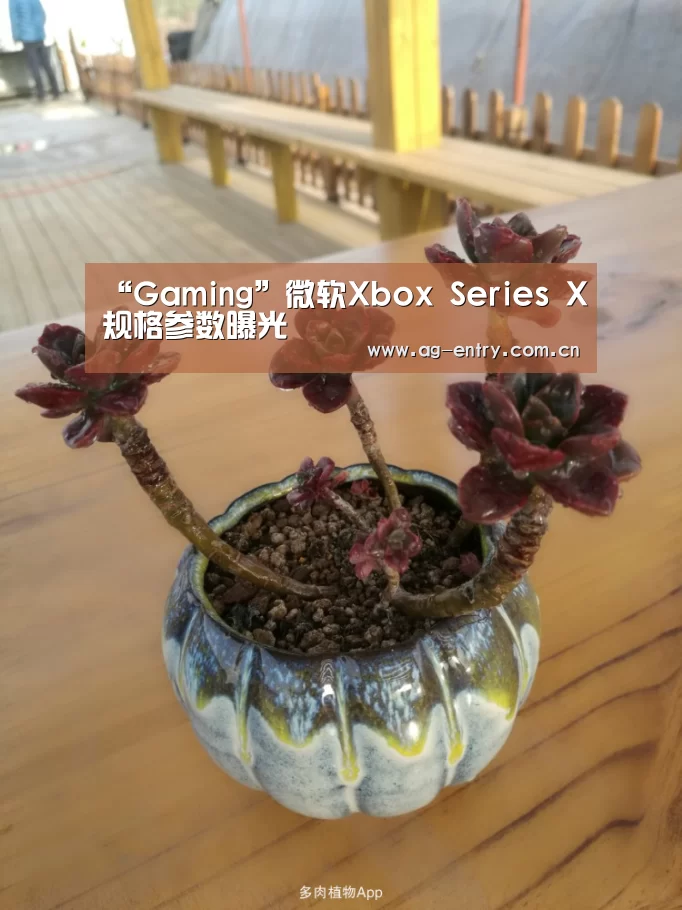 “Gaming”微软Xbox Series X规格参数曝光