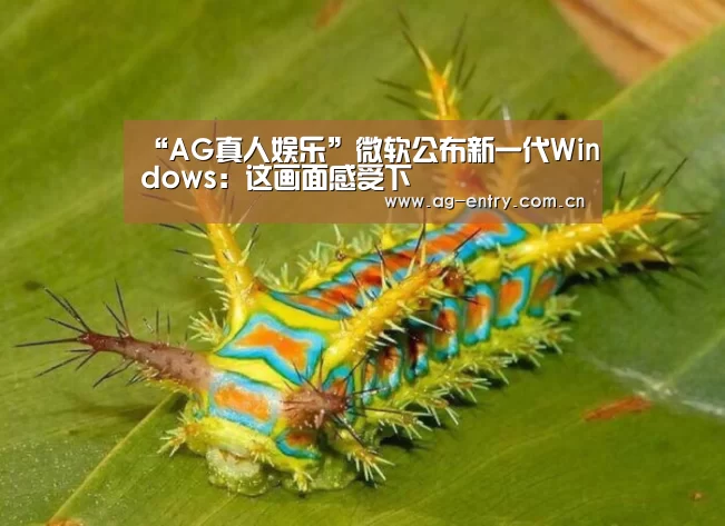 “AG真人娱乐”微软公布新一代Windows：这画面感受下