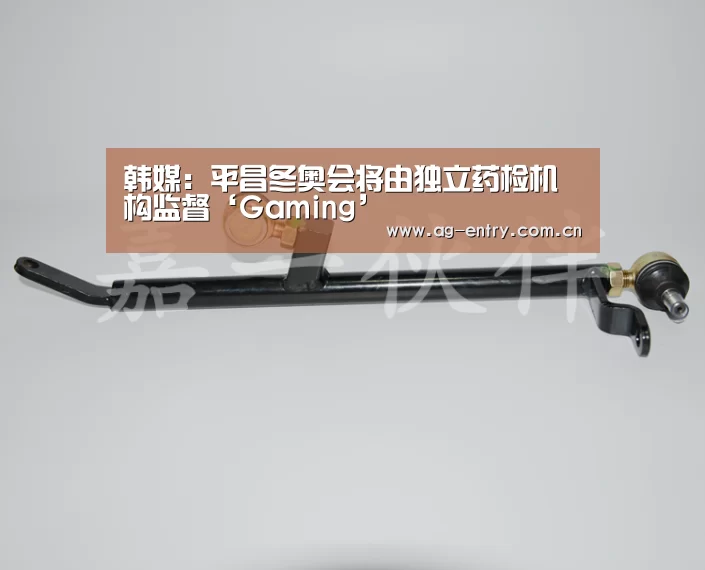 韩媒:平昌冬奥会将由独立药检机构监督‘Gaming’(图3) AG官方网站