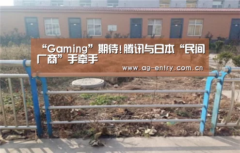 “Gaming”期待!腾讯与日本“民间厂商”手牵手(图1) AG真人娱乐