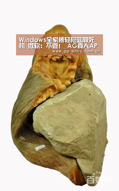 AG真人娱乐